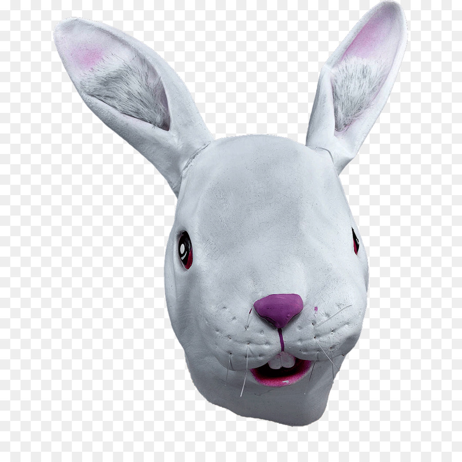 Голова зайца фото