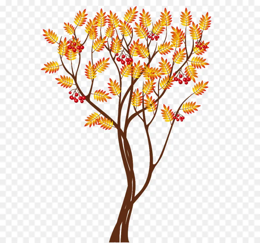 дерево，осень PNG