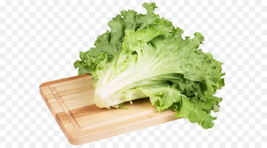 Lettuce，салат PNG