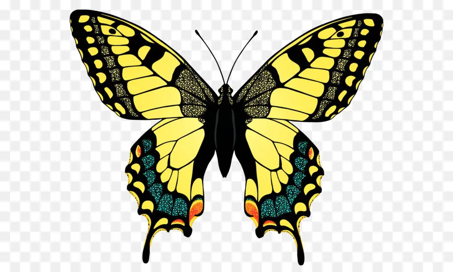 бабочка，черно Махаон PNG
