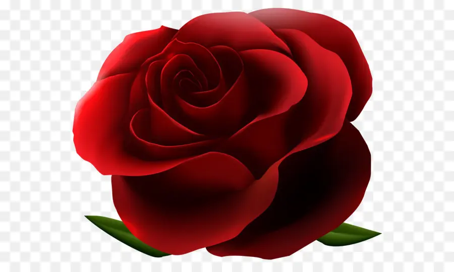 роза，Валентина S день PNG