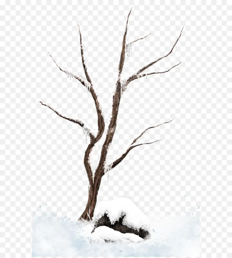 дерево，снег PNG