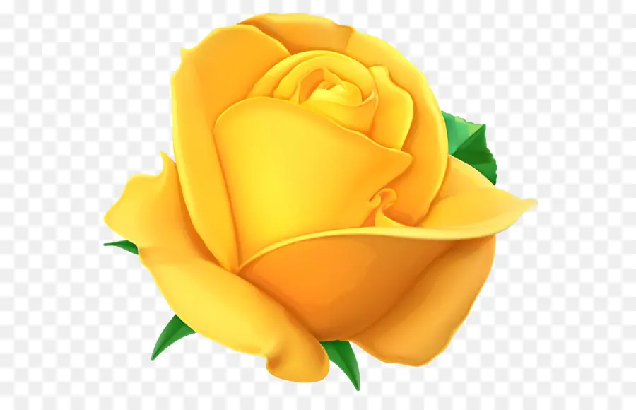 роза，желтый PNG