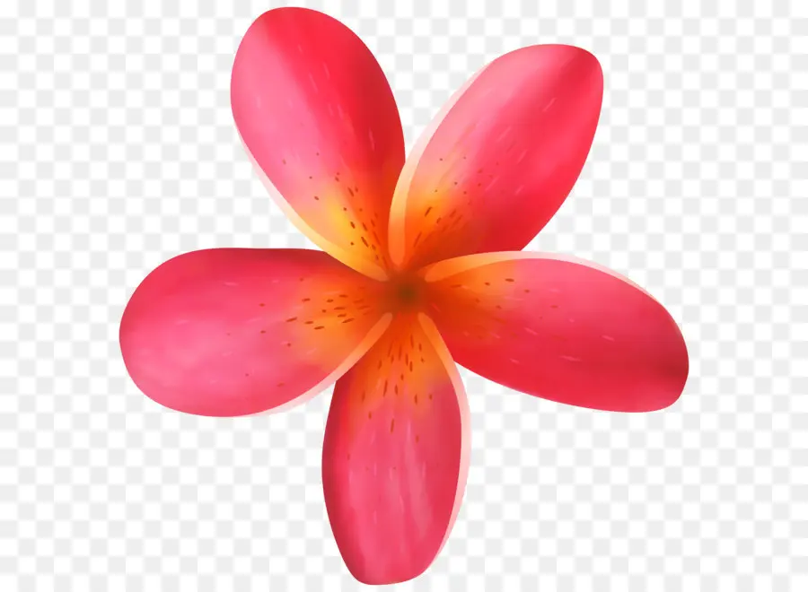 цветок，компьютер значки PNG