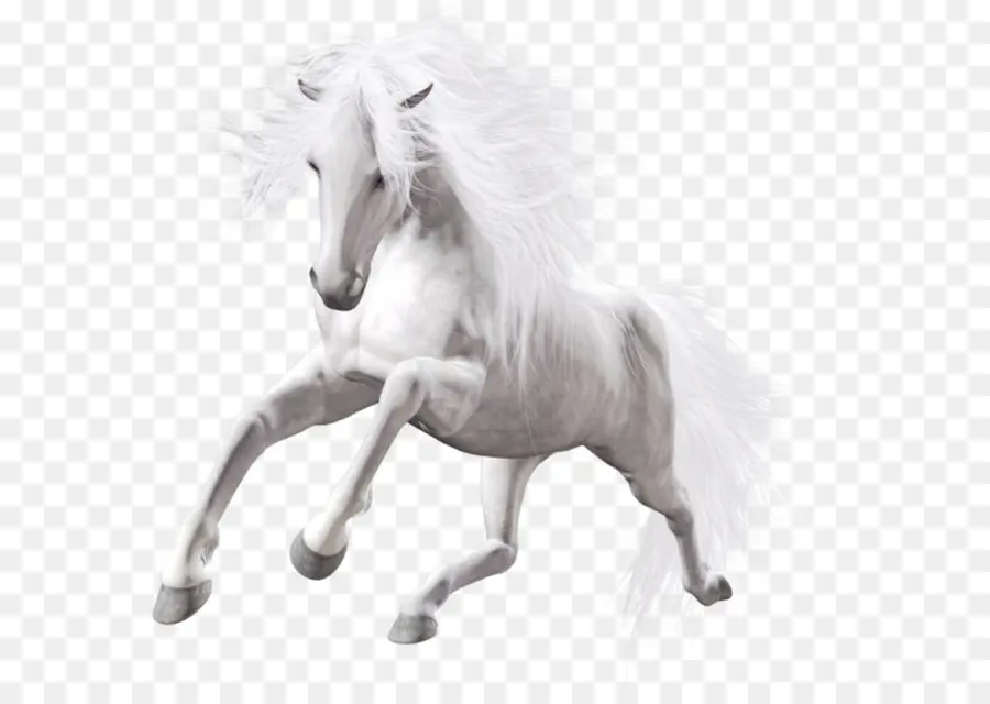 липиццианскую породу，американские краски лошадь PNG