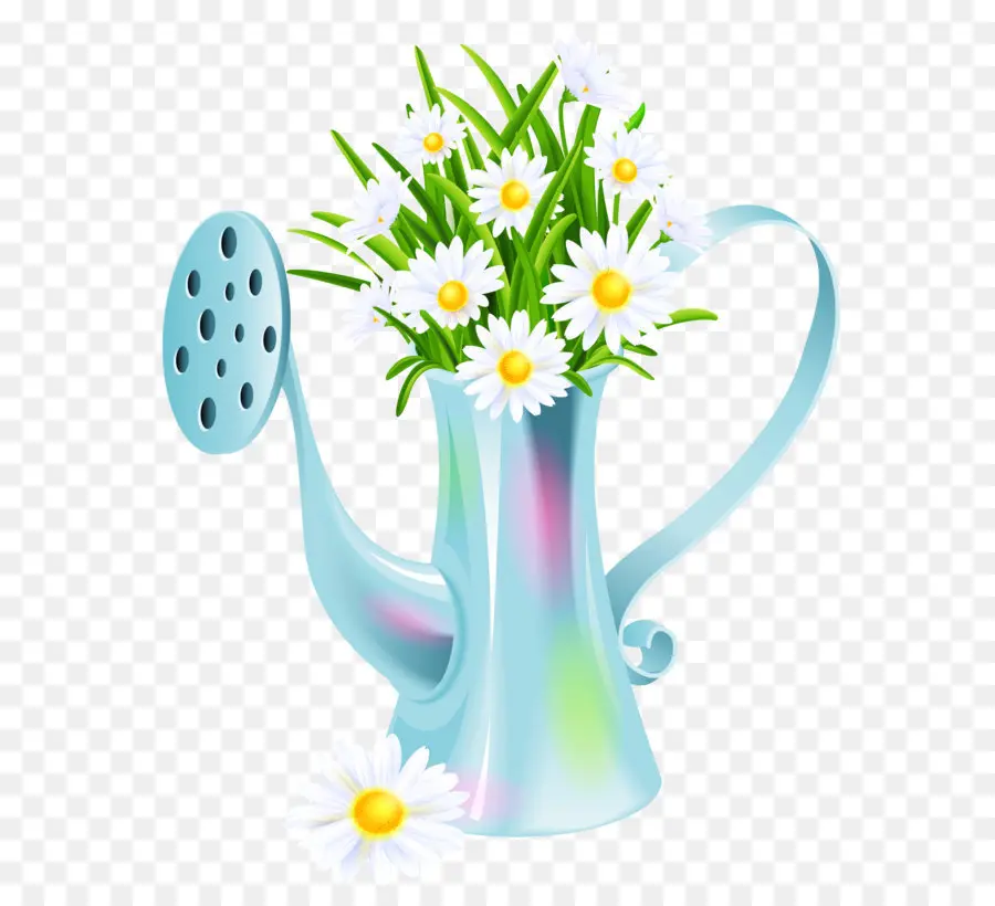 цветок，чайник PNG