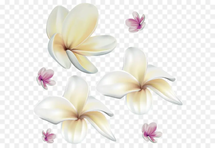 цветок，сиреневый PNG