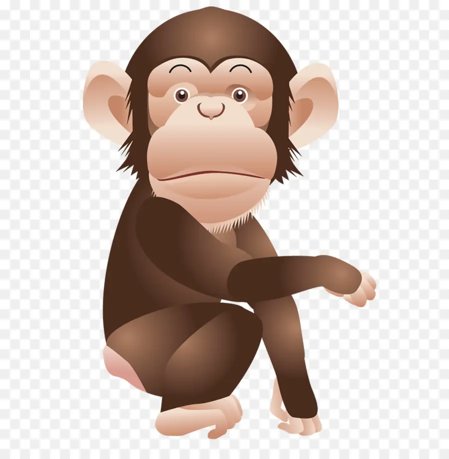 шимпанзе，кривляться PNG