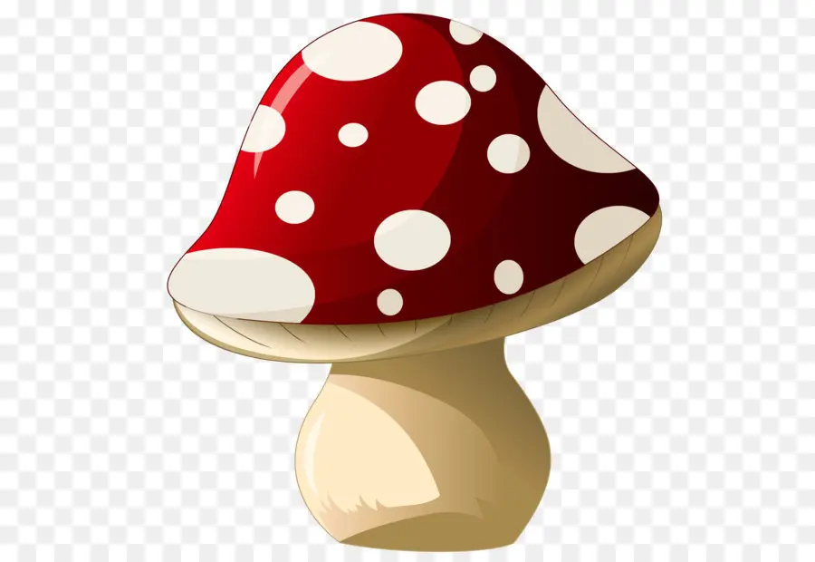 гриб，общие грибы PNG