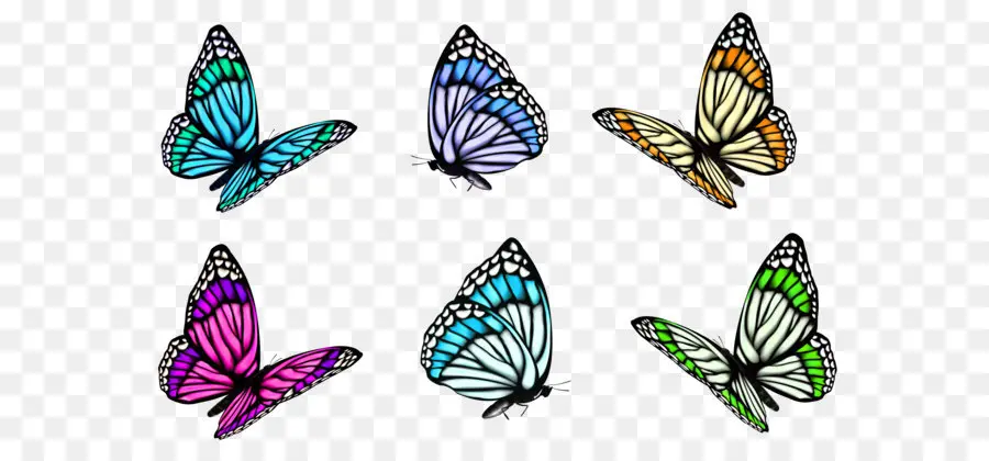 бабочка，полный цвет декоративно бабочка иллюстрации PNG