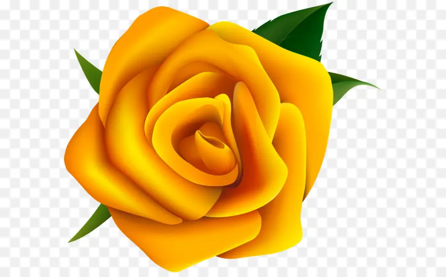роза，желтый PNG