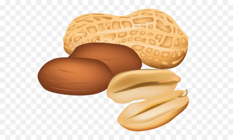 арахисовым маслом и желе бутерброд，арахисовое масло печенье PNG