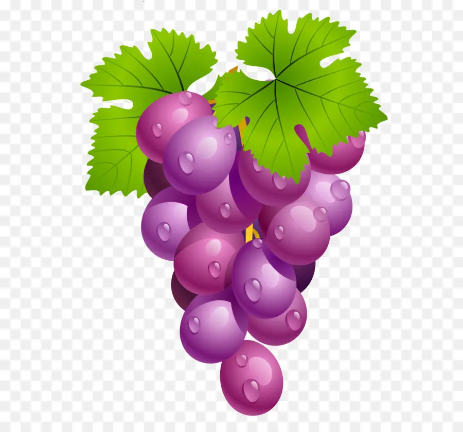 вина，общие виноград PNG