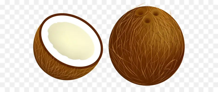 кокосовое，Arecaceae PNG