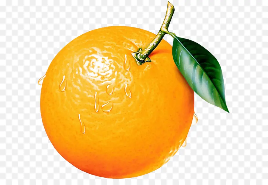 оранжевый，фрукты PNG