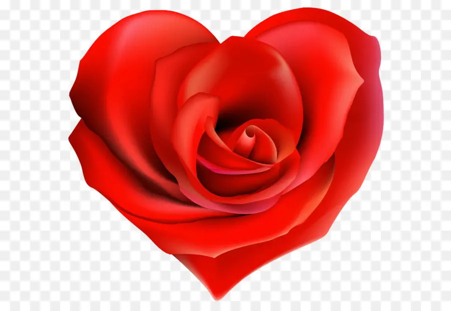 роза，сердце PNG