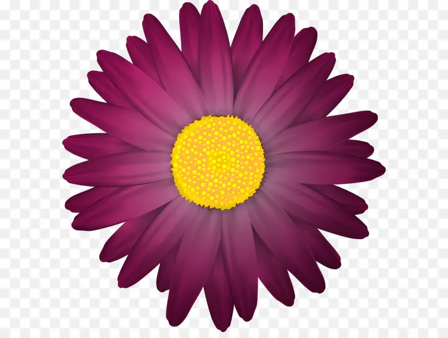 цветок，безвозмездное PNG