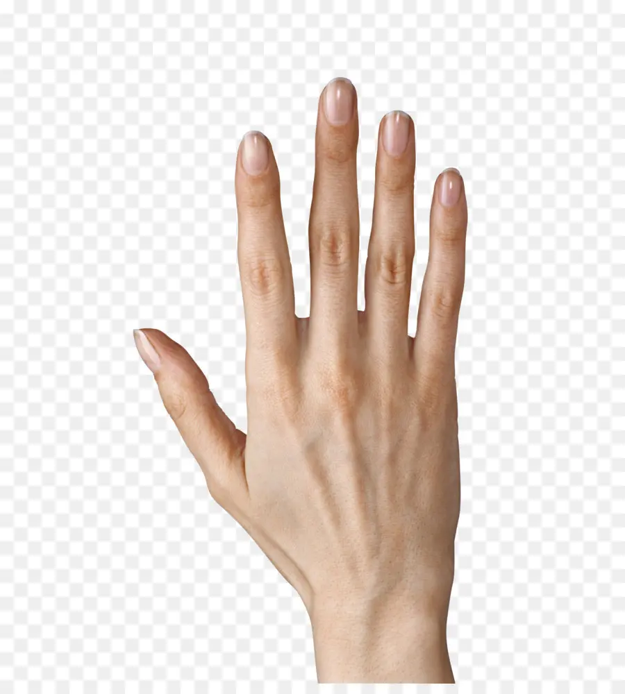 палец，компьютер значки PNG