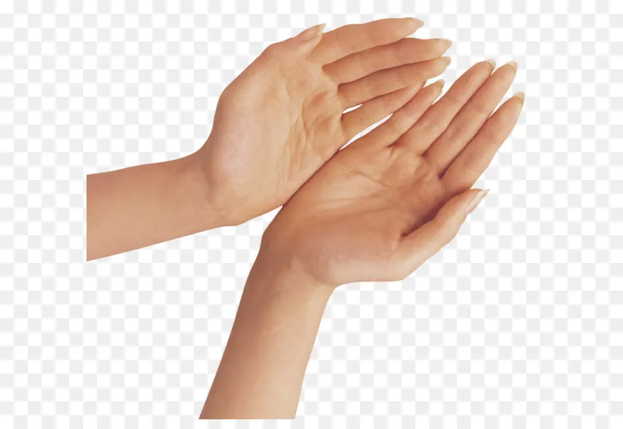 руки，палец PNG