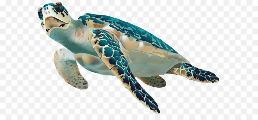 черепаха，морская черепаха PNG