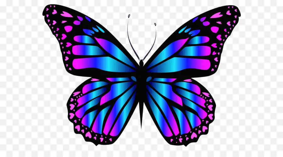 бабочка，фиолетовый PNG