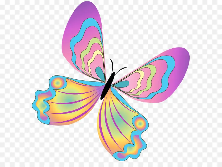 бабочка，блог PNG