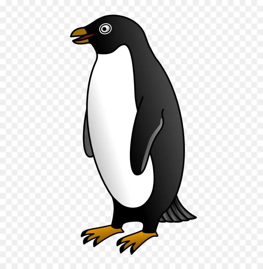 пингвин，Императорский пингвин PNG