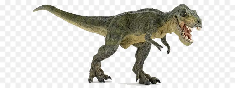 хищников динозавров охотник，тираннозавр PNG