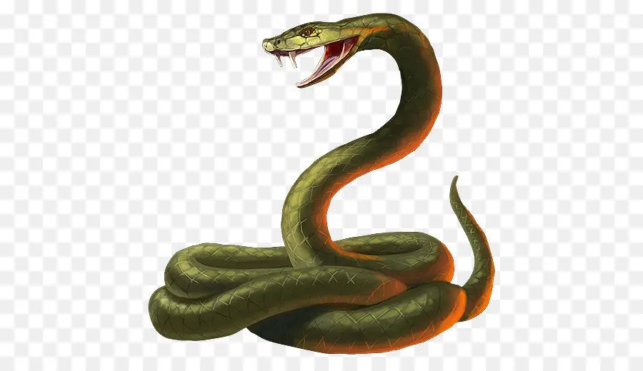 Snake，гадюк PNG