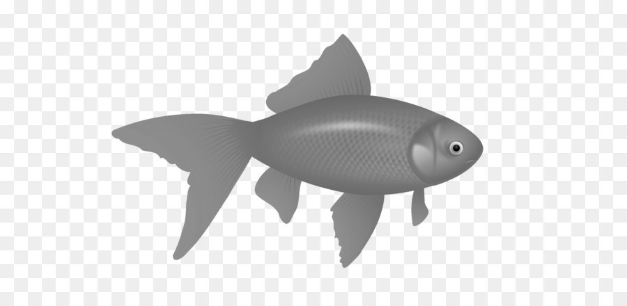 Золотая рыбка，рыбы PNG