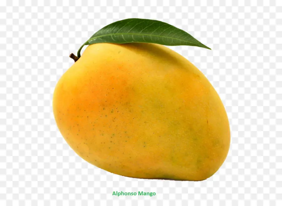 талала гуджарат，международно манго фестиваль PNG