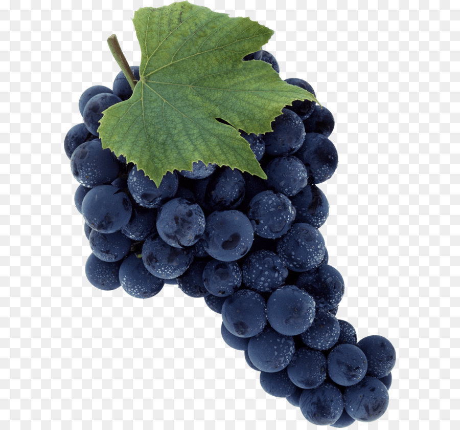 общие виноград，султанша PNG