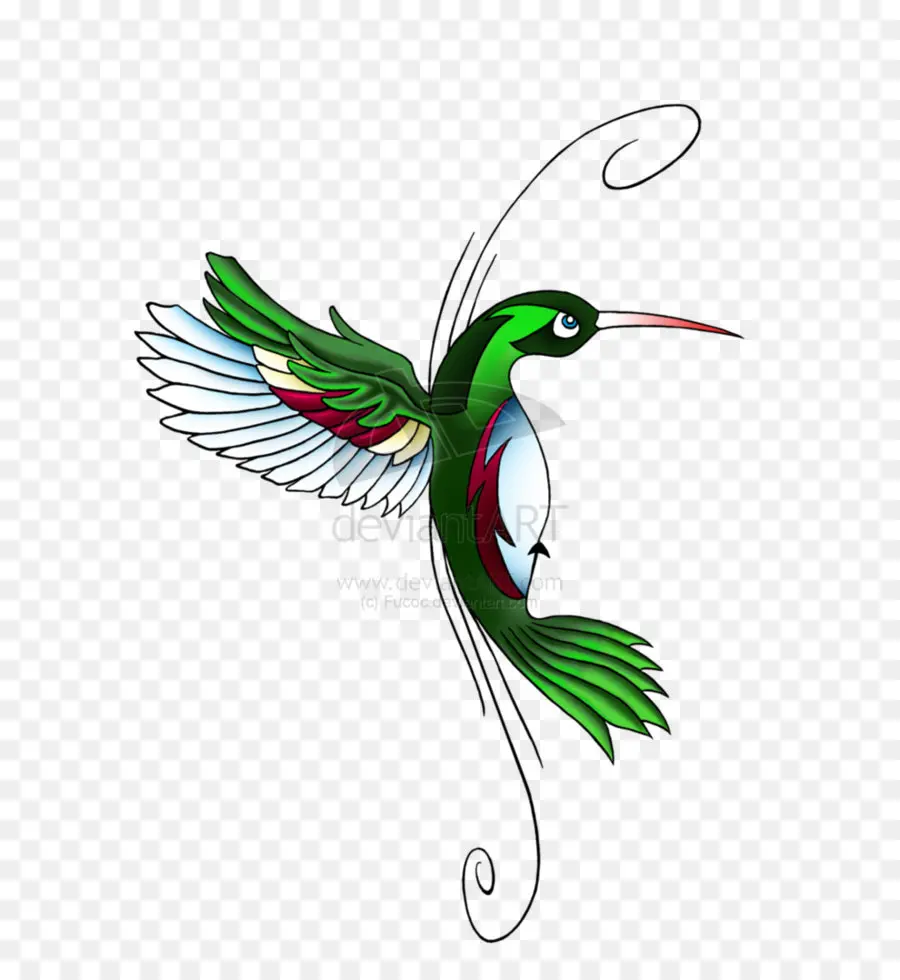Колибри，татуировки PNG