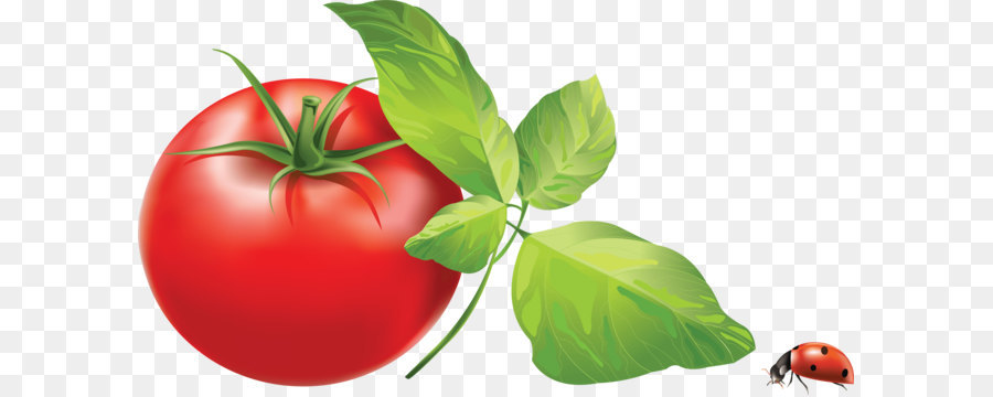 помидоры черри，Итальянский томатный пирог PNG