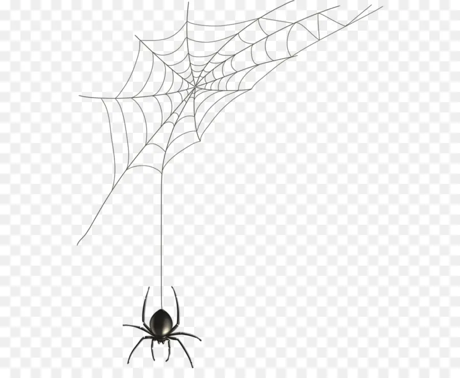 паук，паука PNG