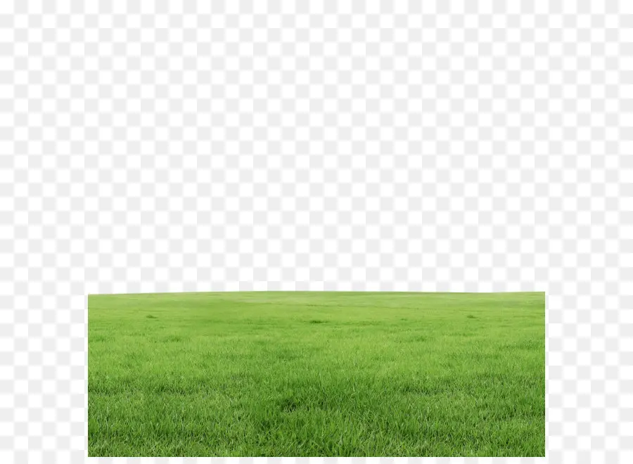 трава，газон PNG