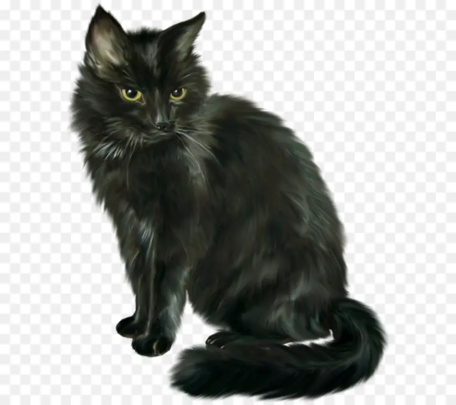 черная кошка，кошачий PNG