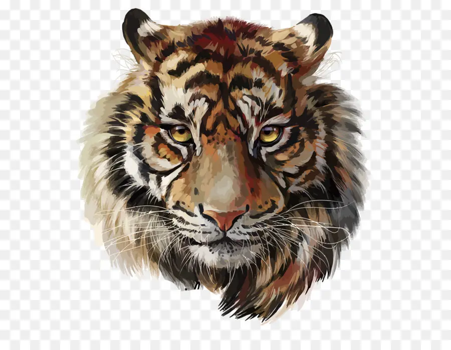 тигр，акварель живопись PNG