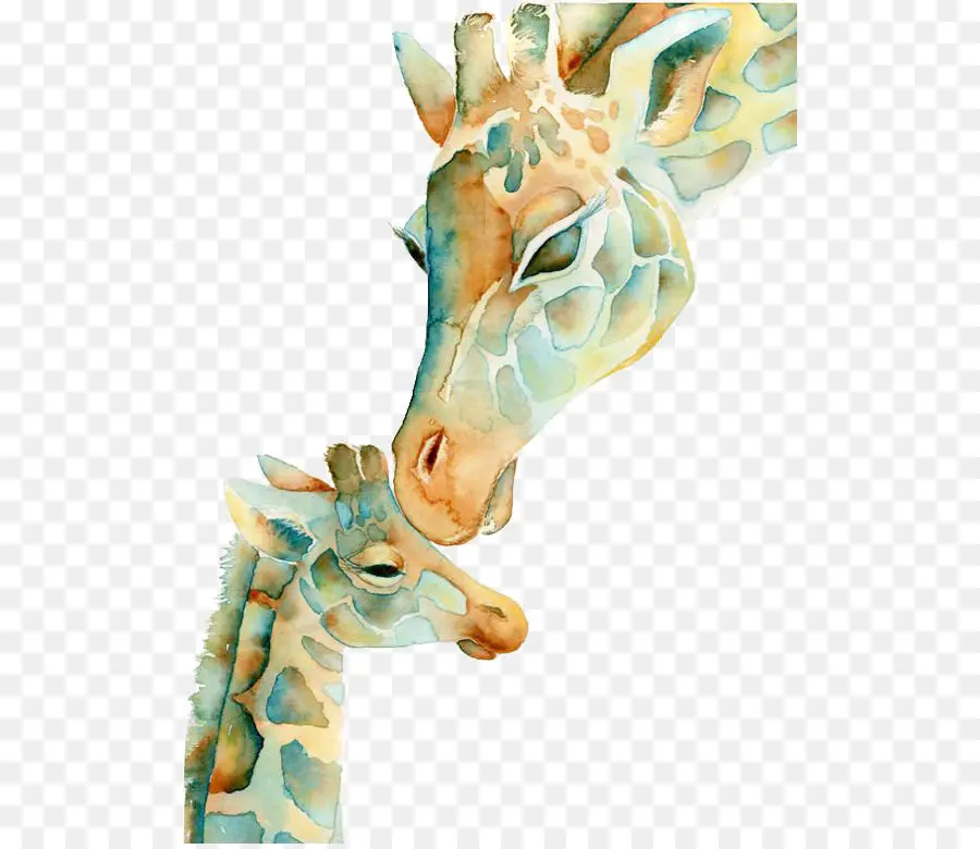 жираф，акварель живопись PNG