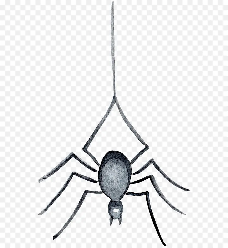 паук，черно белый PNG