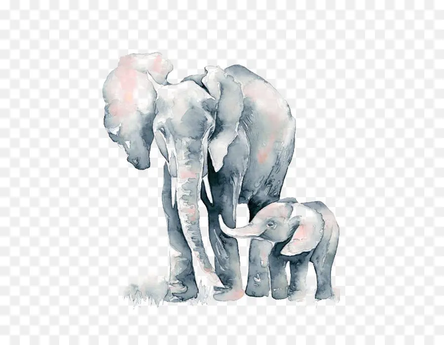 африканские слон，слон PNG