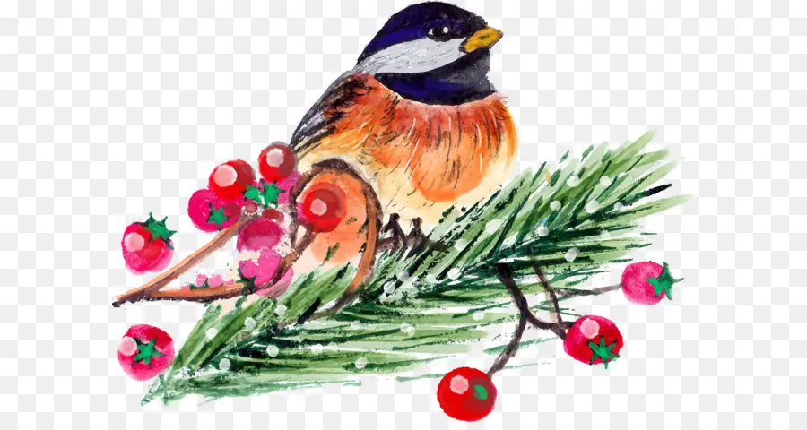 птица，Рождество PNG