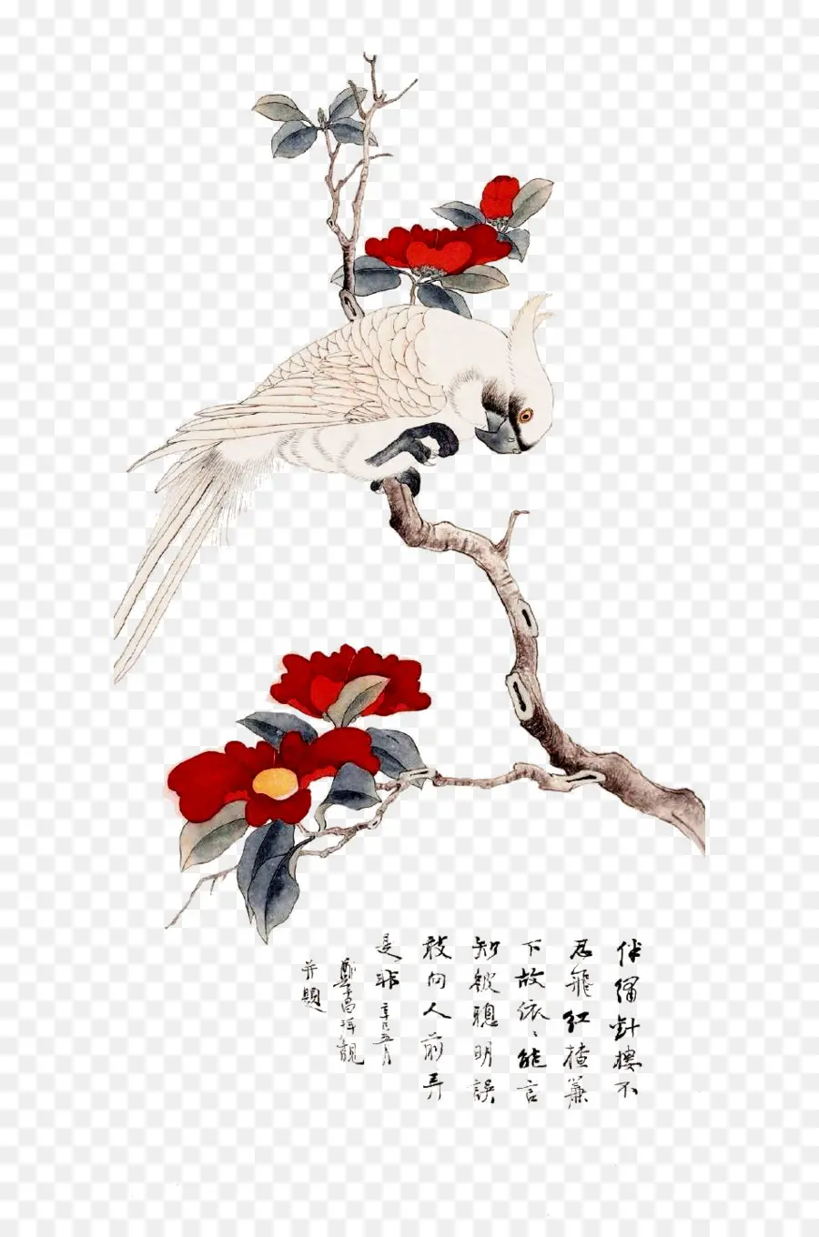 птица и цветок живопись，живопись PNG