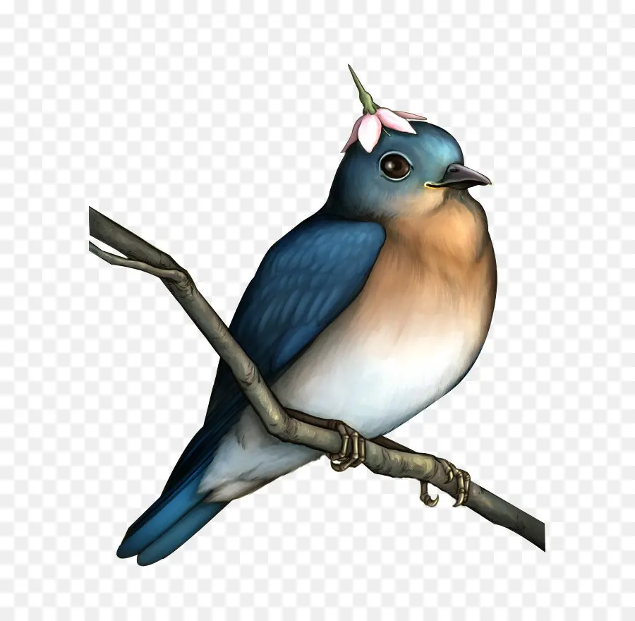 птица，певчая птица PNG
