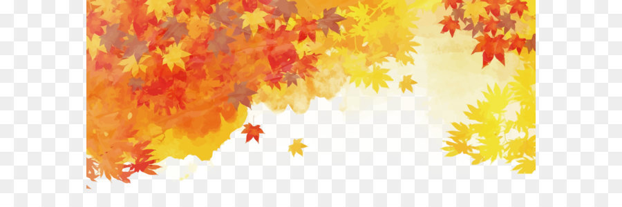 осень，осень листья цвет PNG
