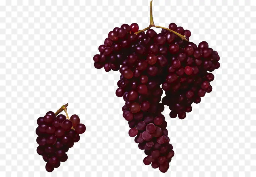 красного вина，общие виноград PNG
