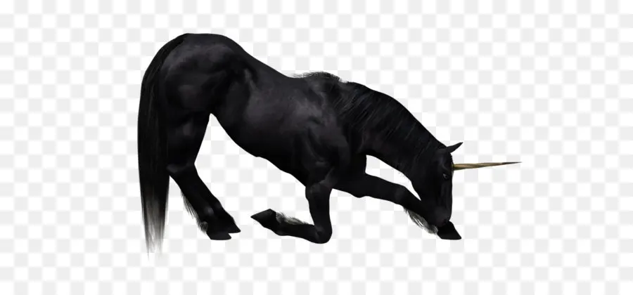 на черном единороге，лошадь PNG