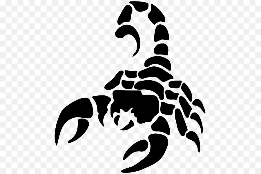 Скорпион，зодиака PNG