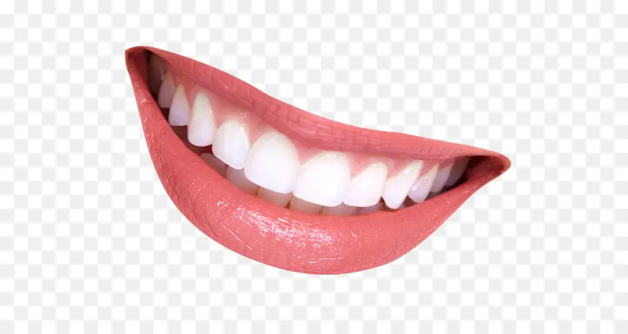 стоматология，стоматолог PNG