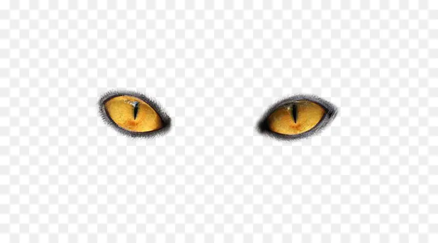 кошка，глаз PNG